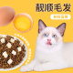 Freeze-dried cat food for adult cats, American and British Short Garfield Blue Cat Ragdoll Adult Cat Food 10 full price 2.5kg, total 5 catties