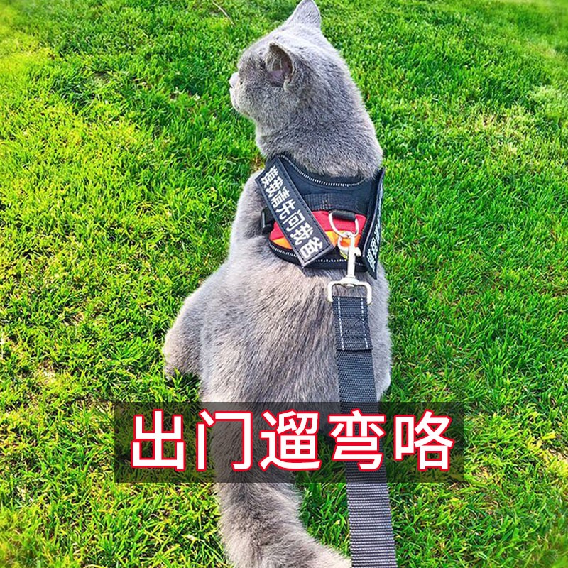 宠物猫咪牵引绳背心式胸背带外出猫咪专用防挣脱溜猫绳子栓猫绳子-图1