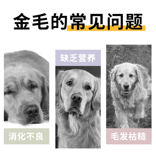 益仁佳金毛专用狗粮10斤幼犬成犬小中大型犬5kg冻干狗粮 - 图0