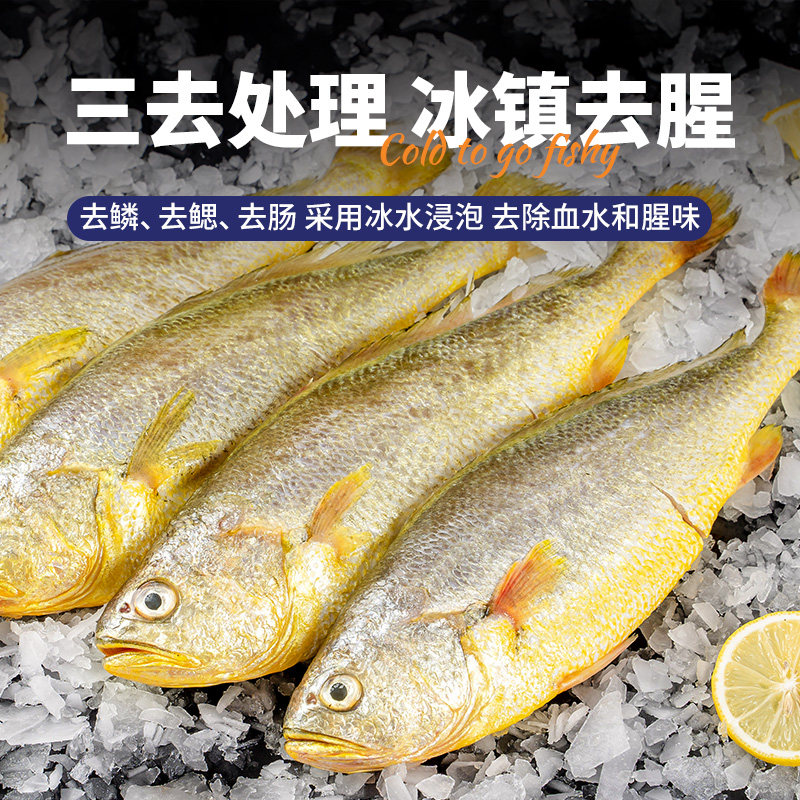 三都港三去肚开黄花鱼600-700g*2条 福建宁德深海大黄鱼新鲜冷冻,淘宝优惠券,粉丝福利购,淘宝优惠卷