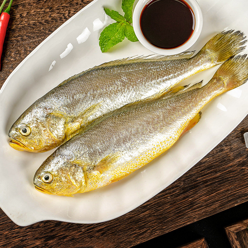  三都港黄鱼