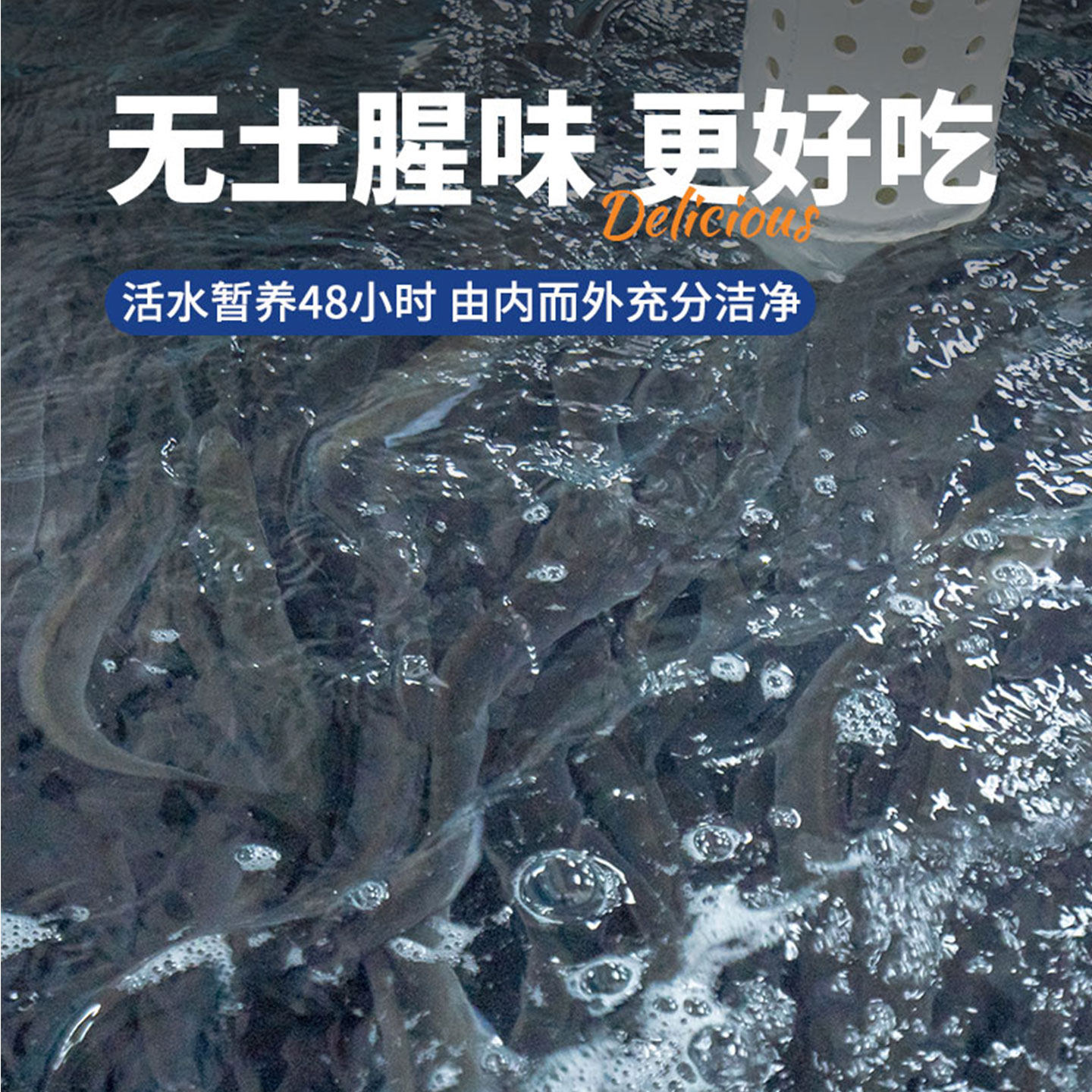 三都港蒲烧鳗鱼段碳烤鳗鱼即食熟食鳗鱼段海鲜生鲜鳗鱼饭210g*4袋,淘宝优惠券,粉丝福利购,淘宝优惠卷