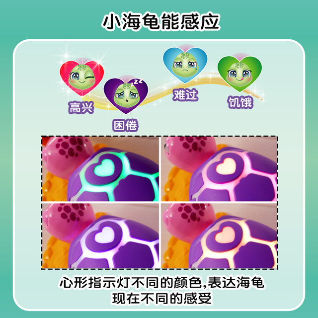 Ruihuaxing Yinhui turtles give birth to babies