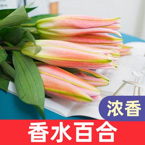 鲜花云南直发香水百合昆明基地玫瑰花向日葵生日花束水养速递同城 - 图0