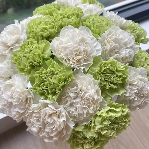 康乃馨水养鲜花表达爱意昆明直发 - 图1