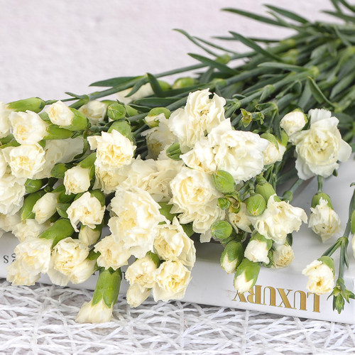 康乃馨鲜花同城云南包邮向日葵香水百合多头玫瑰水养洋牡丹洋桔梗 - 图1
