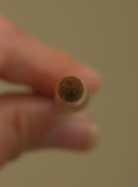 春和C007百分百黄狼毛火苗眼影刷晕染刷亮片泪沟法令纹遮瑕仙宝兰