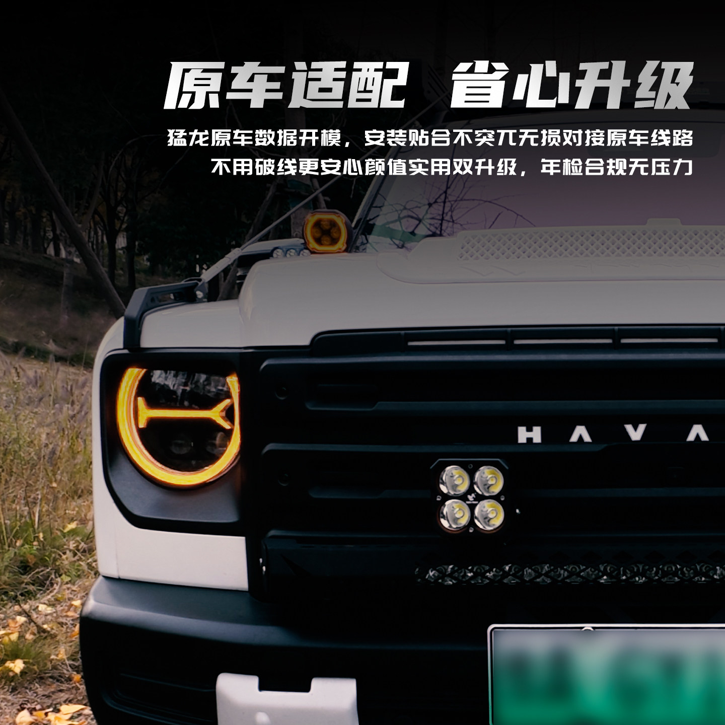 图5