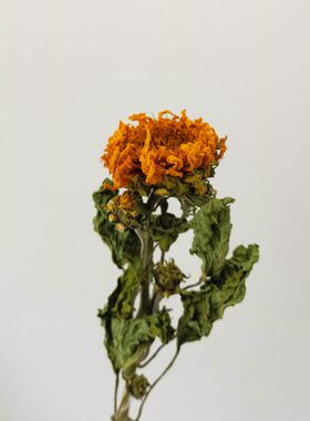 向日葵家居装饰复古风真花风干