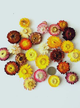 小雏菊易花坊相框幼儿园材料diy