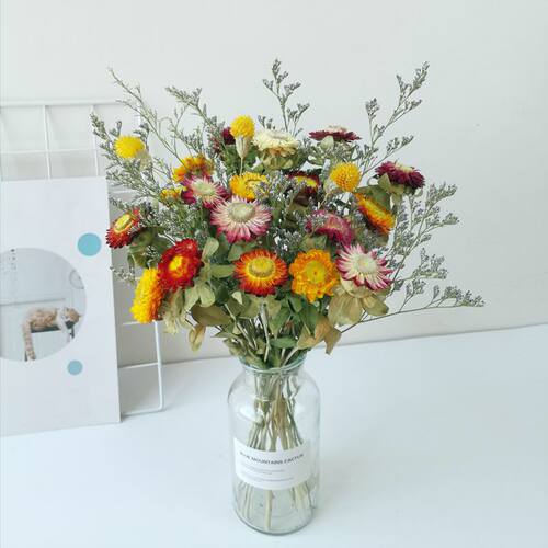 天然风干真花小雏菊干花花束ins网红装饰摆件diy文艺插花拍摄道具 - 图1