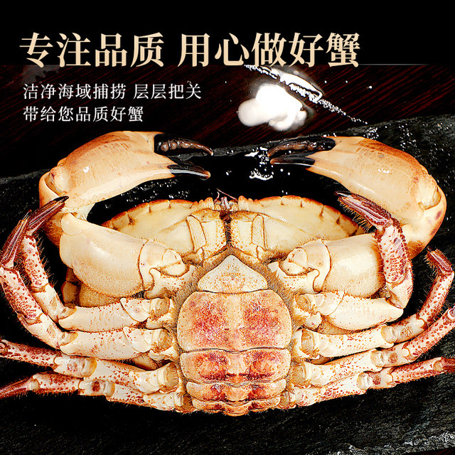 Instant sale! Bread crab top shell fat, no yellow bag compensation