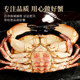 Instant sale! Bread crab top shell fat, no yellow bag compensation