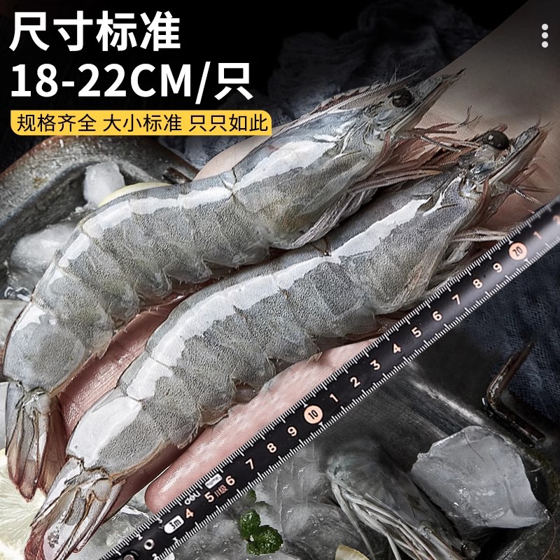厄瓜多尔白虾大虾鲜活速冻盐冻2030南美白虾基围虾海虾对年货海鲜-图0