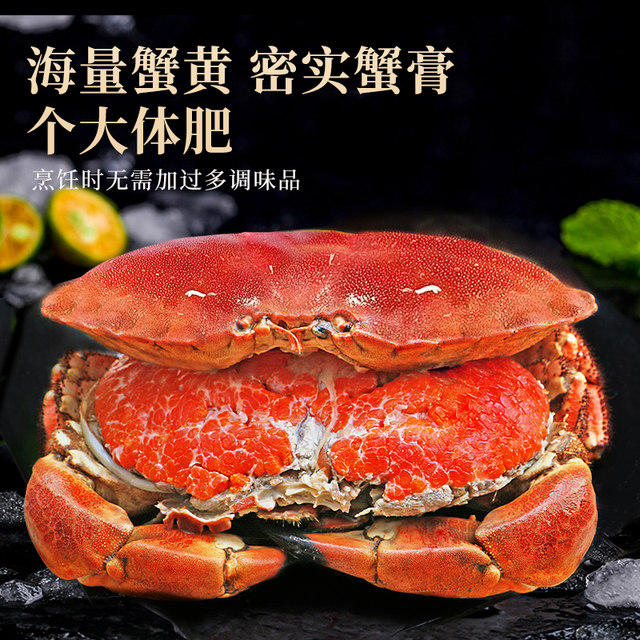 Instant sale! Bread crab top shell fat, no yellow bag compensation