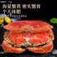 Instant sale! Bread crab top shell fat, no yellow bag compensation