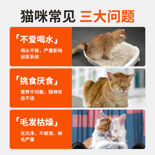 宽福猫罐头主食罐补充营养增肥发腮猫咪零食成幼猫湿粮条24罐整箱