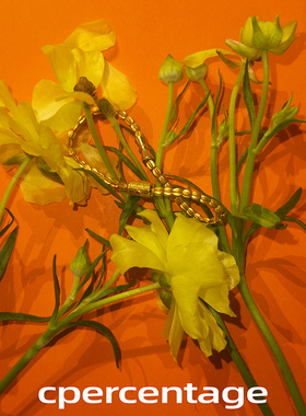 CPercentage925银镀金手链