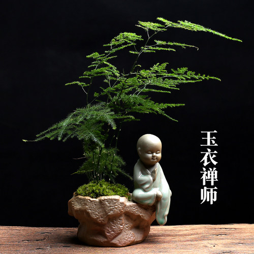 文竹创意植物花盆陶瓷小和尚小佛禅意小花盆绿植盆栽高档植物含盆 - 图2
