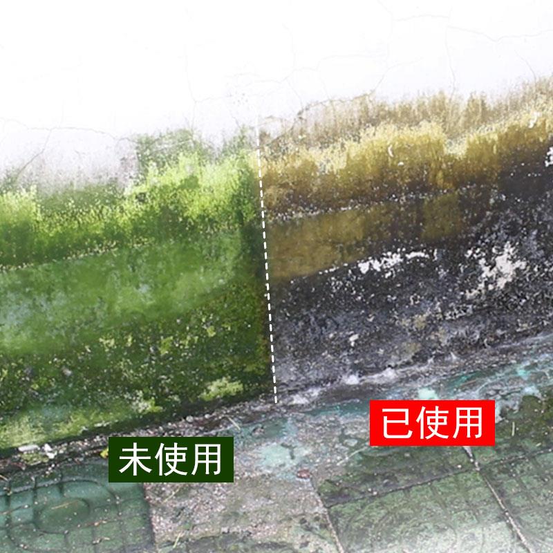 清洁剂景观青苔清除剂鱼池石阶去除剂墙砖池塘浴室庭院绿苔墙上-图0