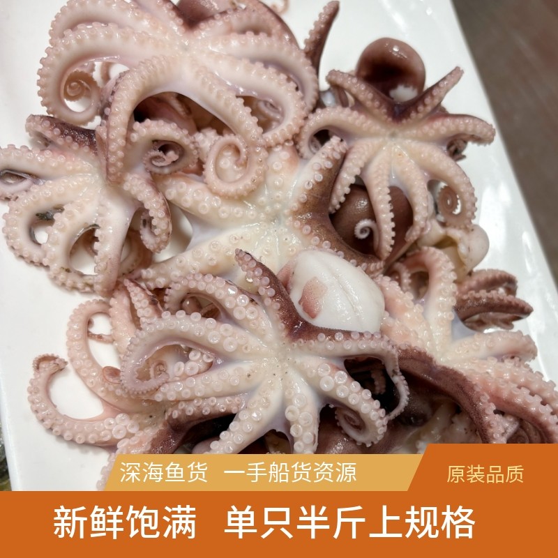 迷你小章鱼 小八爪鱼 已代杀处理内脏 净重7两/盒装 解冻即可烹饪,淘宝优惠券,粉丝福利购,淘宝优惠卷