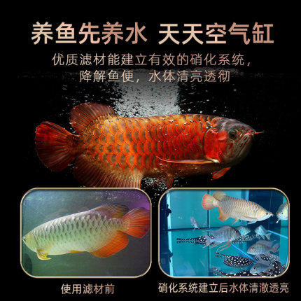 鱼缸滤材过滤材料硝化细菌屋净化水质陶瓷环纳米球底滤滴流盒滤材,淘宝优惠券,粉丝福利购,淘宝优惠卷