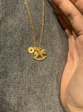 金店同款爆闪马上有钱项链女款久不掉色轻奢时尚碎冰木马铜钱颈链