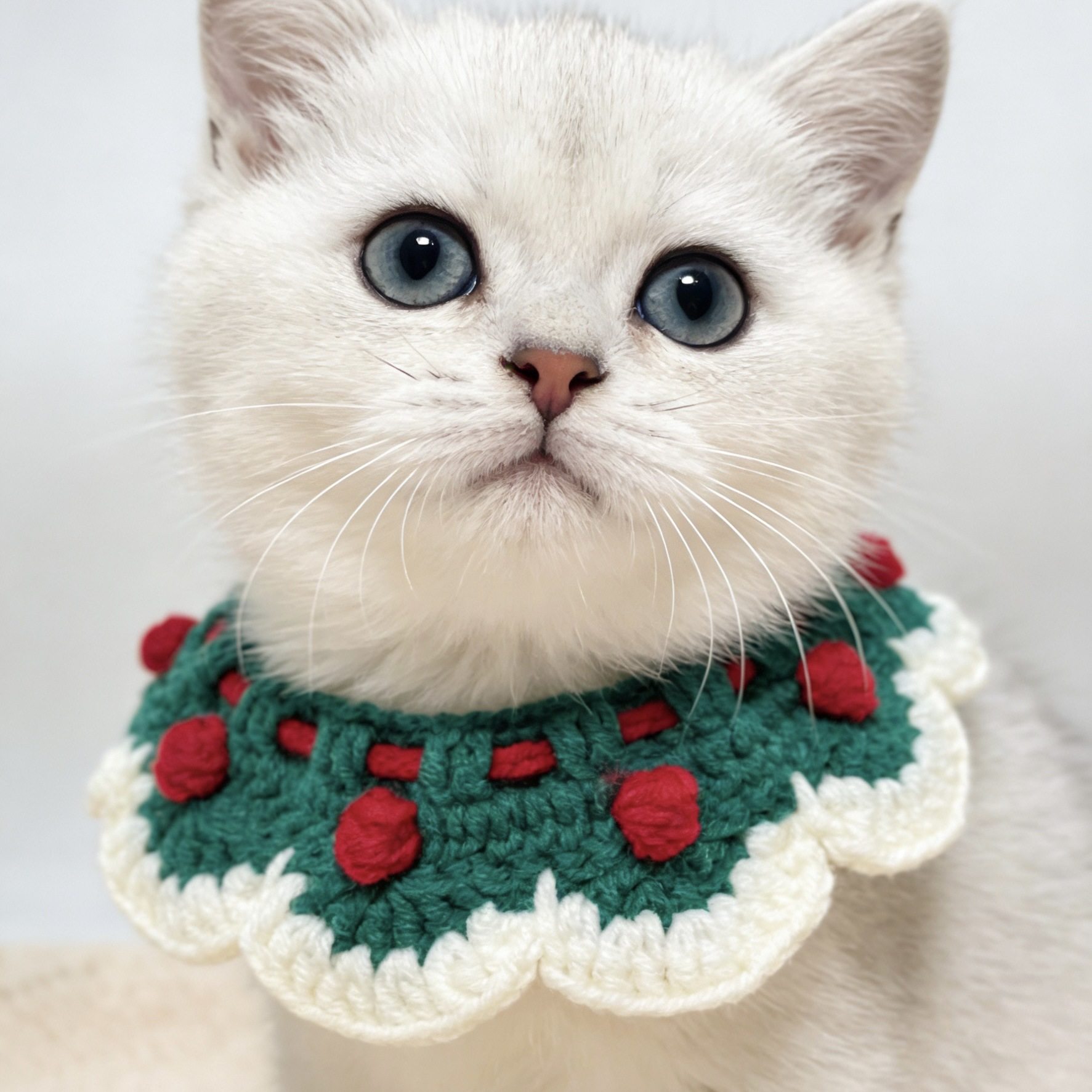 宠物项圈新年围脖狗狗猫咪秋冬衣服猫猫项圈小猫口水巾可爱围兜,淘宝优惠券,粉丝福利购,淘宝优惠卷