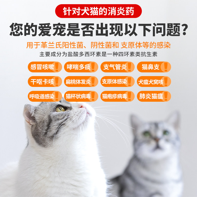 盐酸多西环素片猫用消炎猫咪感冒药狗狗打喷嚏幼猫鼻支专用药,淘宝优惠券,粉丝福利购,淘宝优惠卷