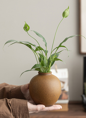 水培绿植插花陶瓷小花瓶摆件