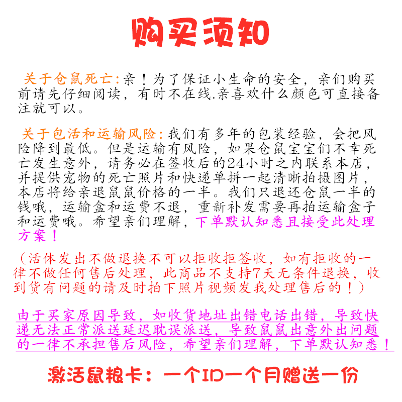 宠物金丝熊巨型活体仓鼠活物布丁银狐紫仓鼠宝宝宠物已打疫苗一对 - 图2