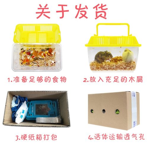 买1送8仓鼠活体金丝熊宠物布丁银狐活物三线奶茶活物笼子一对情侣 - 图3