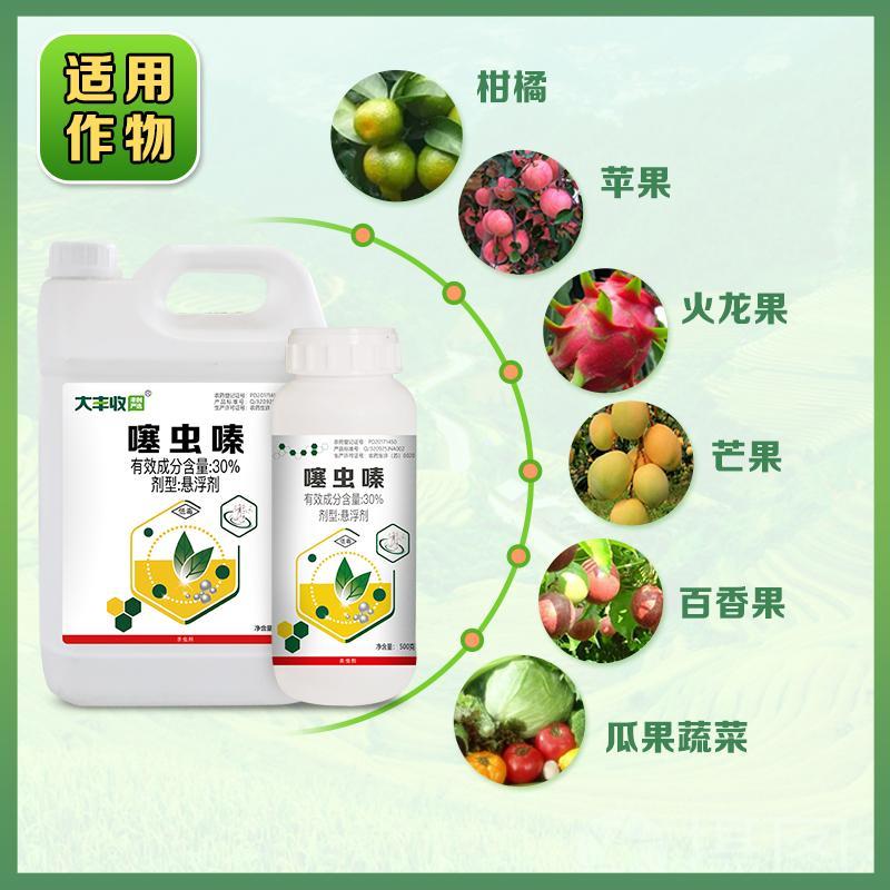 大丰收30%噻虫嗪农药杀虫剂稻飞虱蓟马蚜虫蔬菜果树杀虫药柑橘 - 图2