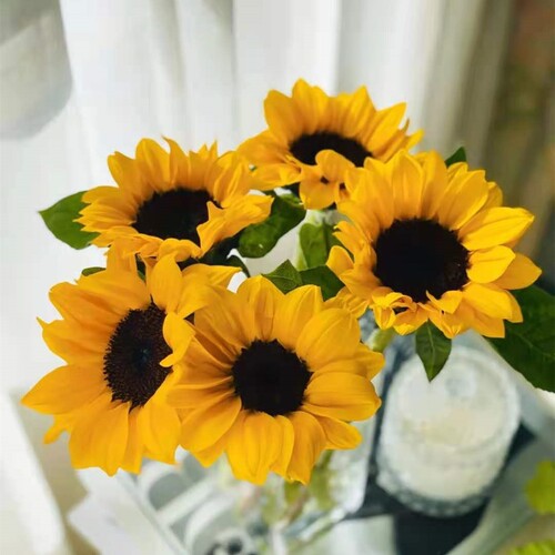 毕业向日葵真花小花束新鲜批鲜花发家用云南花卉水养昆明市场斗南 - 图3