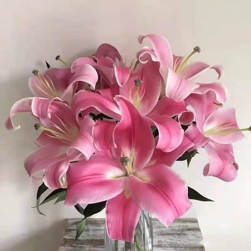 百合A罗宾娜鲜花云南基地直发昆明斗南直批顺丰水养花苞红色婚庆 - 图0
