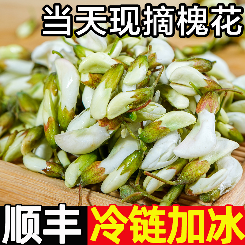 新鲜洋槐花3斤顺丰2024应当季蔬菜野菜槐米槐花骨朵整箱4产地包邮 - 图3