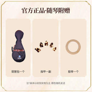 星海琵琶8911-2非洲紫檀8915鸡翅木儿童考级8902成人专业演奏8912