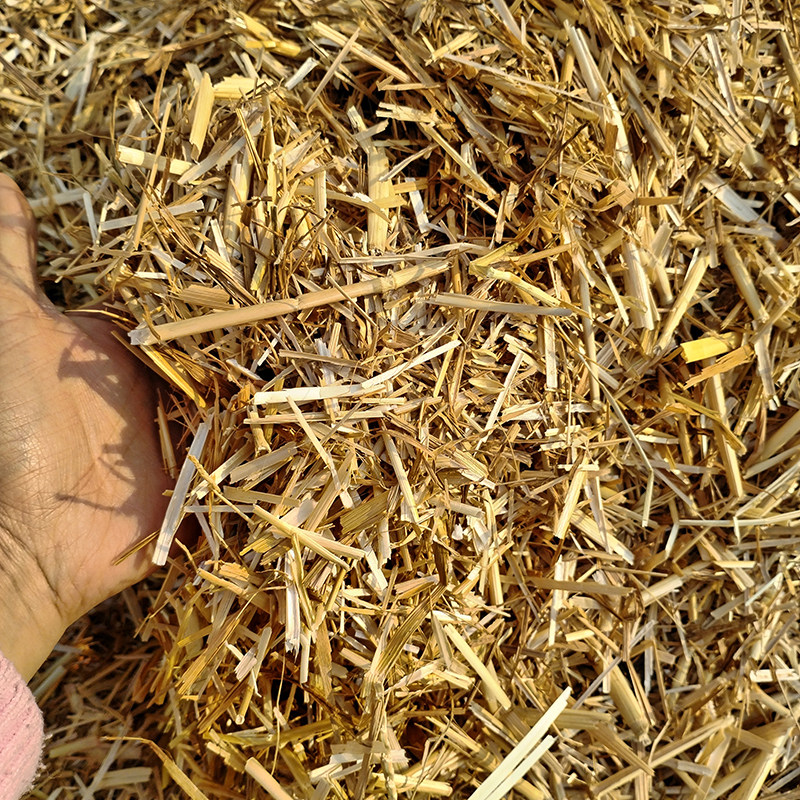 新小麦秸秆碎麦草鸟鸽子宠物垫窝保暖牛羊干草料兔子装修和泥装饰,淘宝优惠券,粉丝福利购,淘宝优惠卷