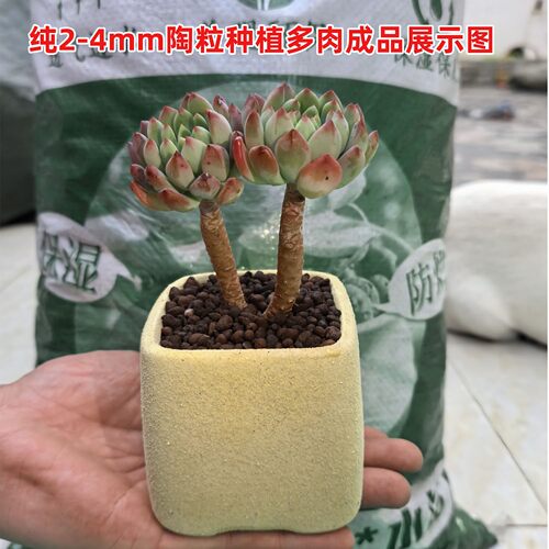 多肉专用颗粒特小号陶粒颗粒土辅助型多肉盆栽土控水拌土小陶粒 - 图3
