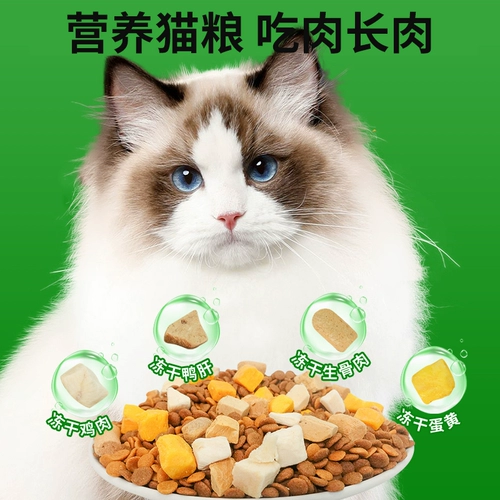 Кошка еда Ченг Кот 20 фунтов доступного официального флагманского подлинного 10 кот.