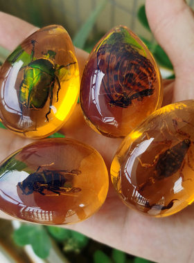 真实昆虫标本人工琥珀蝎子项链蝴蝶吊坠虫珀原石蜘蛛儿童礼物摆件