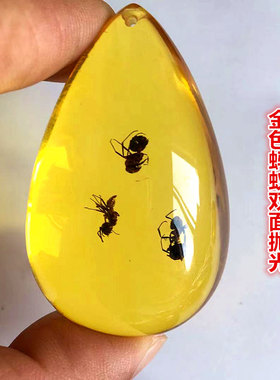 昆虫标本琥珀蝎子蜘蛛项链蝴蝶吊坠知了虫珀原石儿童礼物小学课本