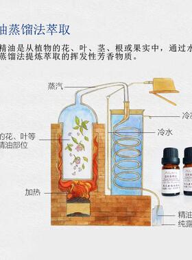 厂家柠檬香茅精油 柠檬草精油100ml驱蚊虫助消化香薰单方