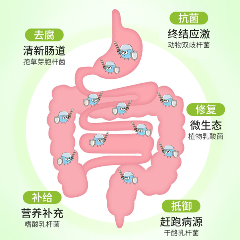 幼犬专用狗粮10斤装1-12月通用型泰迪金毛拉布拉多柯基边牧小型犬