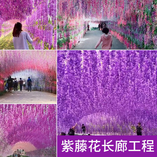 Имитация цветов глицинии, регистрация и фотосъемка интернет-знаменитостей, ландшафтный дизайн