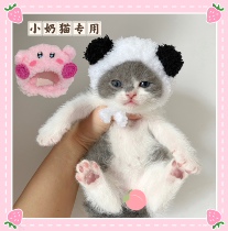 So well-behay little milk kitty headgear panda hat Little milky rabbit pet cute star card more than mini headwear