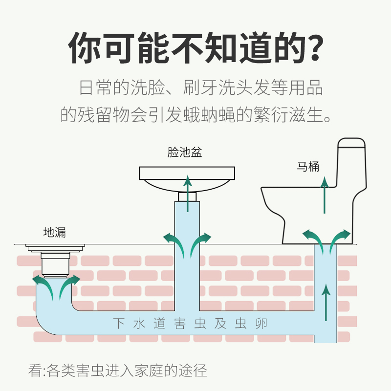 日本金鸟下水道小飞虫灭杀神器蛾蛾蠓蚋除杀虫剂厕所卫生间地漏 - 图1