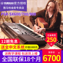 Yamaha e-violin PSR SX600 SX700 SX900 SX900 61 Key Multifunction Stage Performance Band