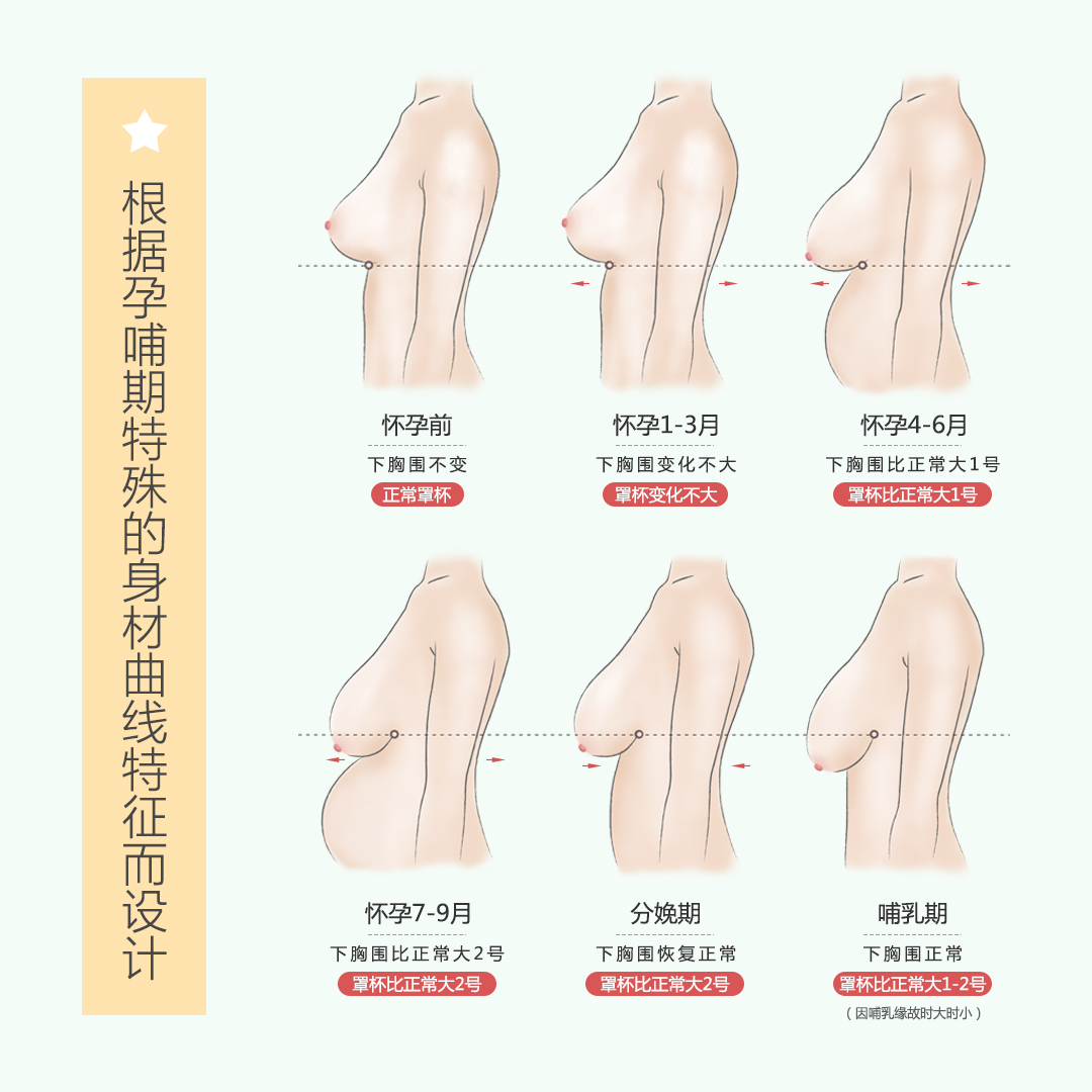 KKay哺乳文胸配件四排三扣背扣延长扣内衣加长扣-图0