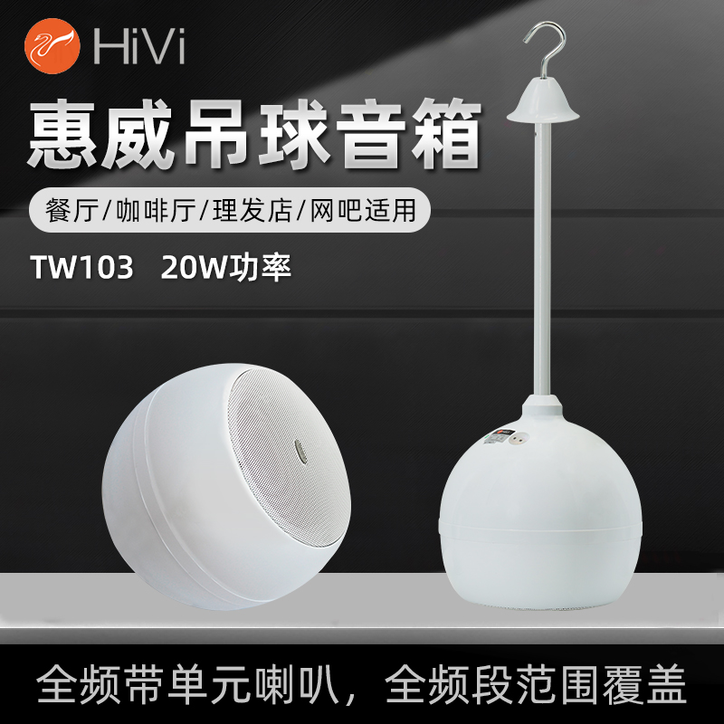 Hivi/惠威TD206定压吸顶喇叭天花吊顶音响嵌入式广播音箱功放套装 - 图2